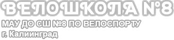 Логотип сайта велошколы № 8 г. Калининград